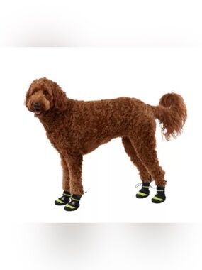 Arcadia Trail™ Year-Round All-Terrain Dog Booties